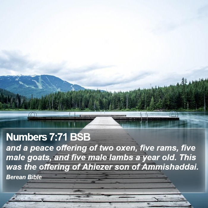 Numbers 7:71 BSB Bible Study