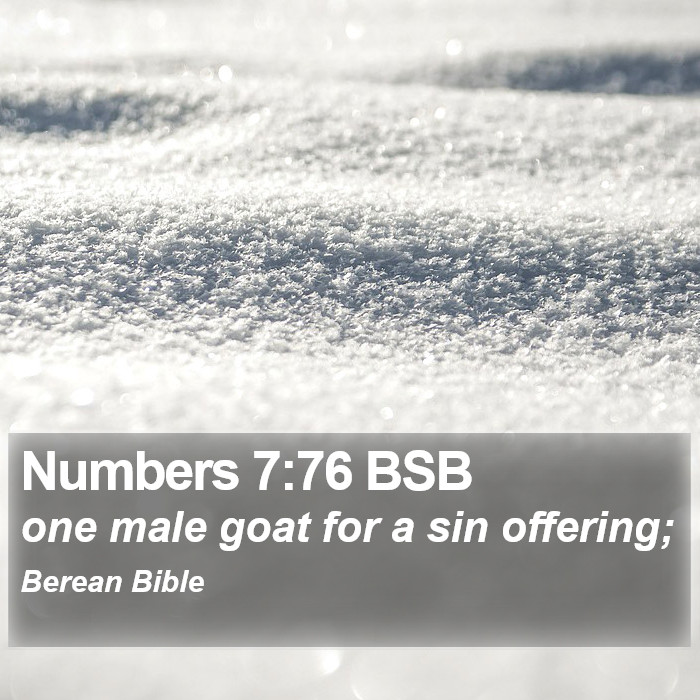 Numbers 7:76 BSB Bible Study