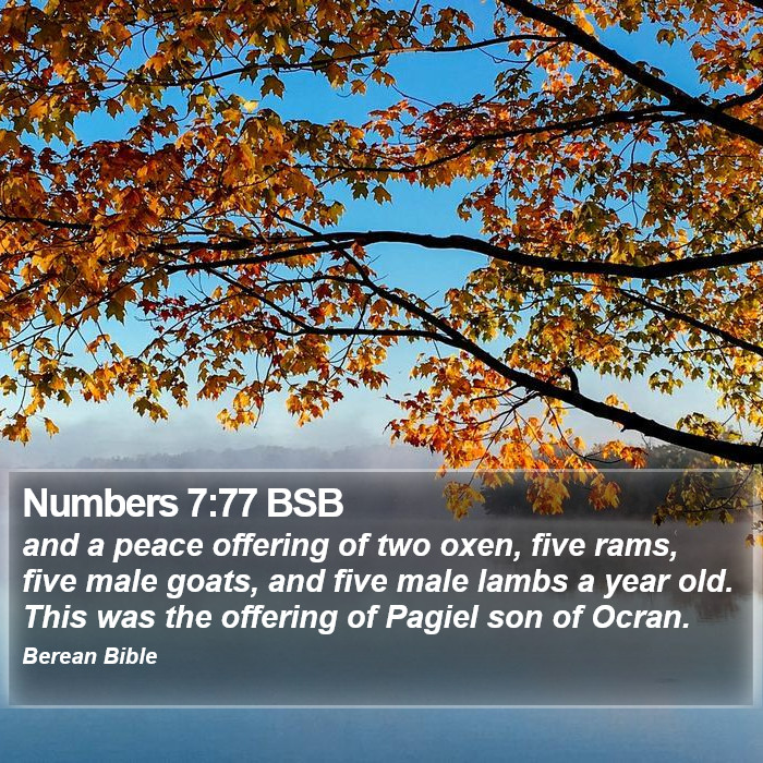 Numbers 7:77 BSB Bible Study