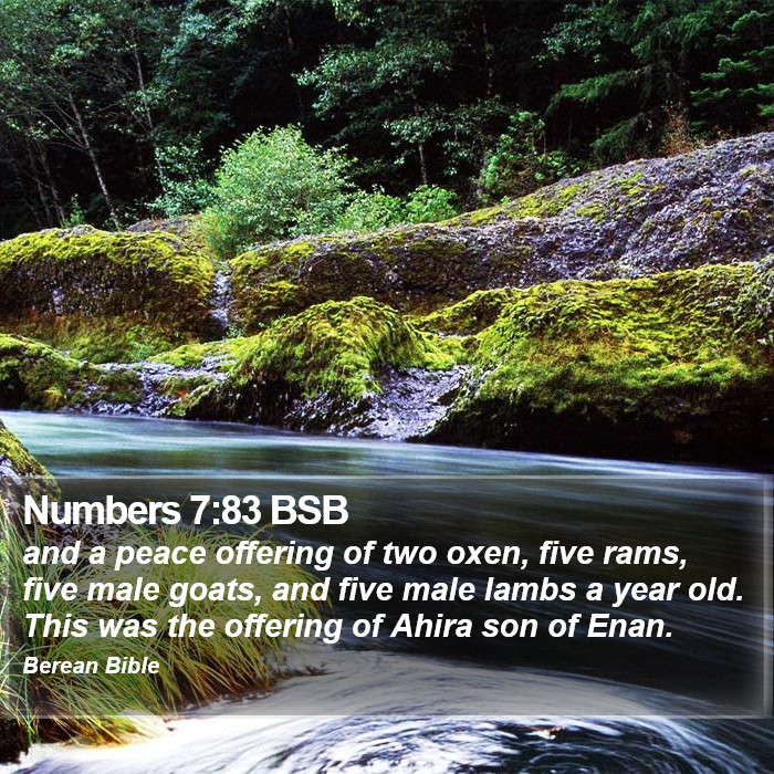 Numbers 7:83 BSB Bible Study