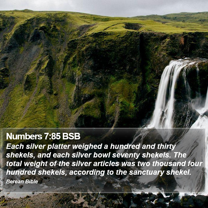 Numbers 7:85 BSB Bible Study