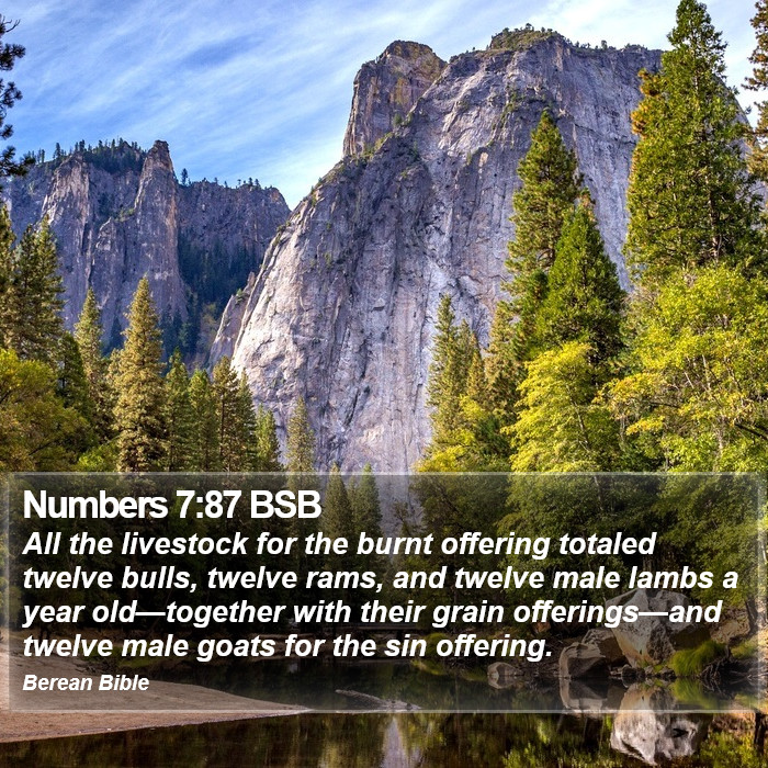 Numbers 7:87 BSB Bible Study