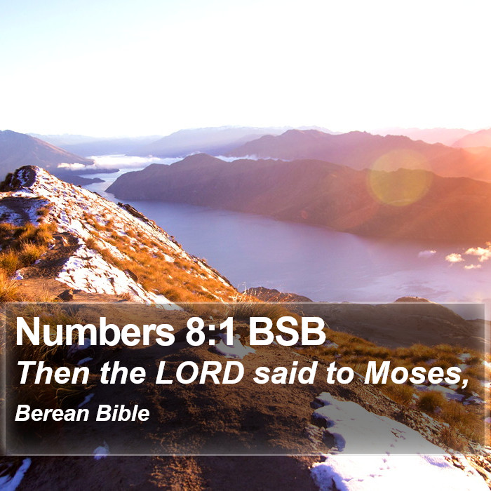 Numbers 8:1 BSB Bible Study