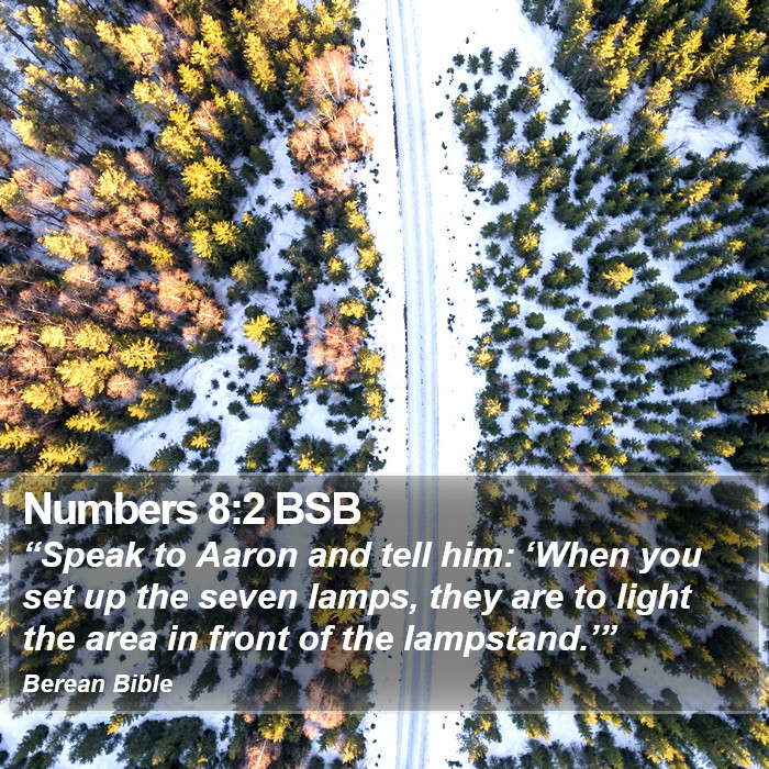 Numbers 8:2 BSB Bible Study