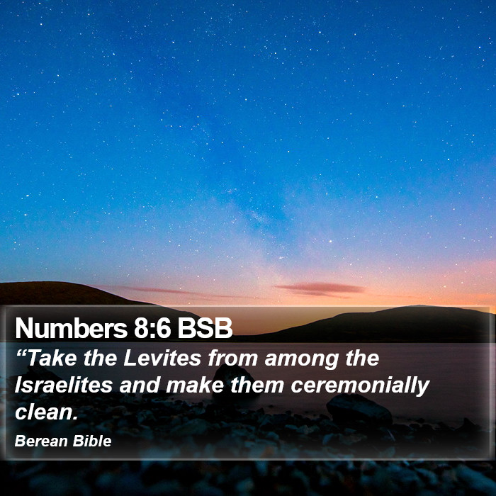 Numbers 8:6 BSB Bible Study