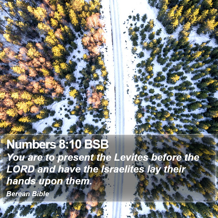 Numbers 8:10 BSB Bible Study