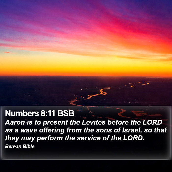 Numbers 8:11 BSB Bible Study