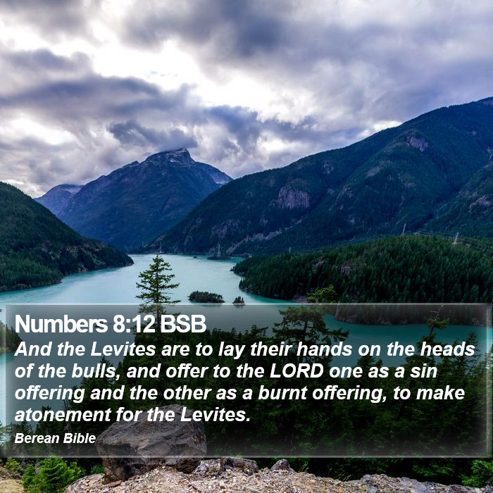 Numbers 8:12 BSB Bible Study