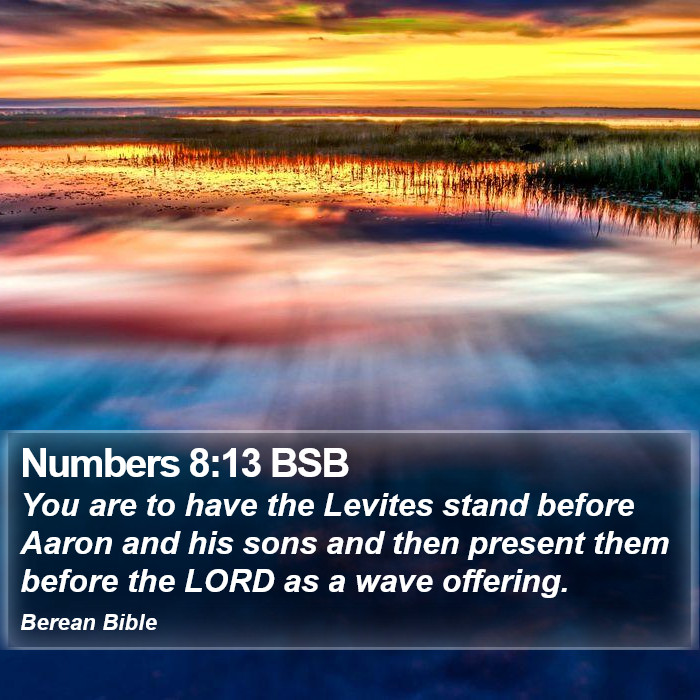 Numbers 8:13 BSB Bible Study