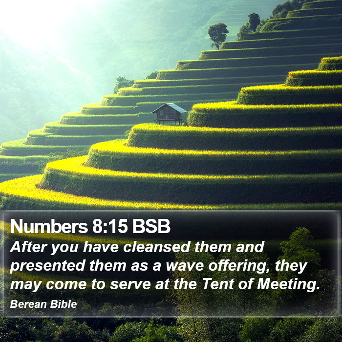 Numbers 8:15 BSB Bible Study