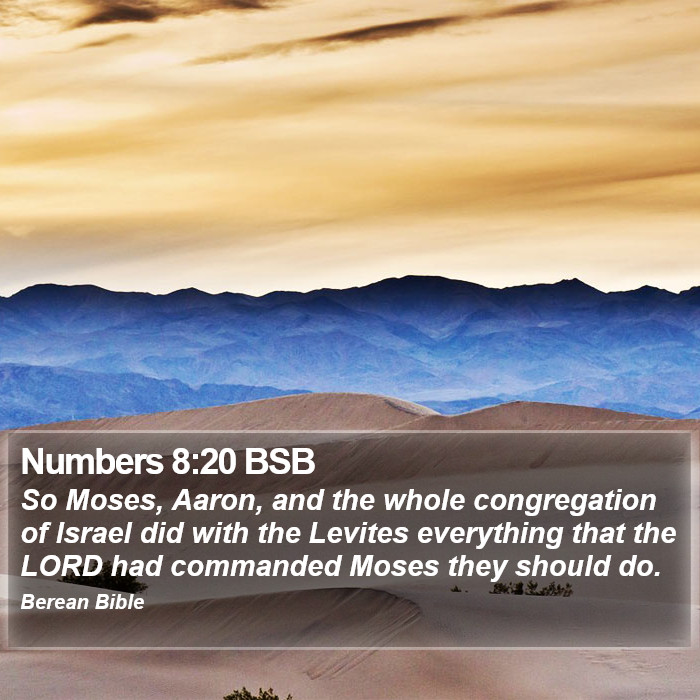 Numbers 8:20 BSB Bible Study