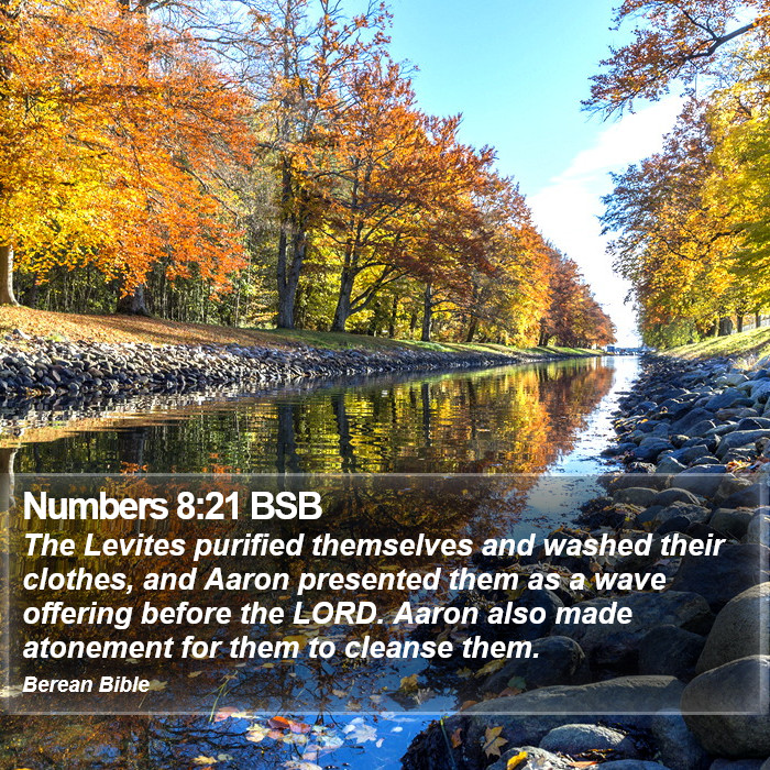 Numbers 8:21 BSB Bible Study