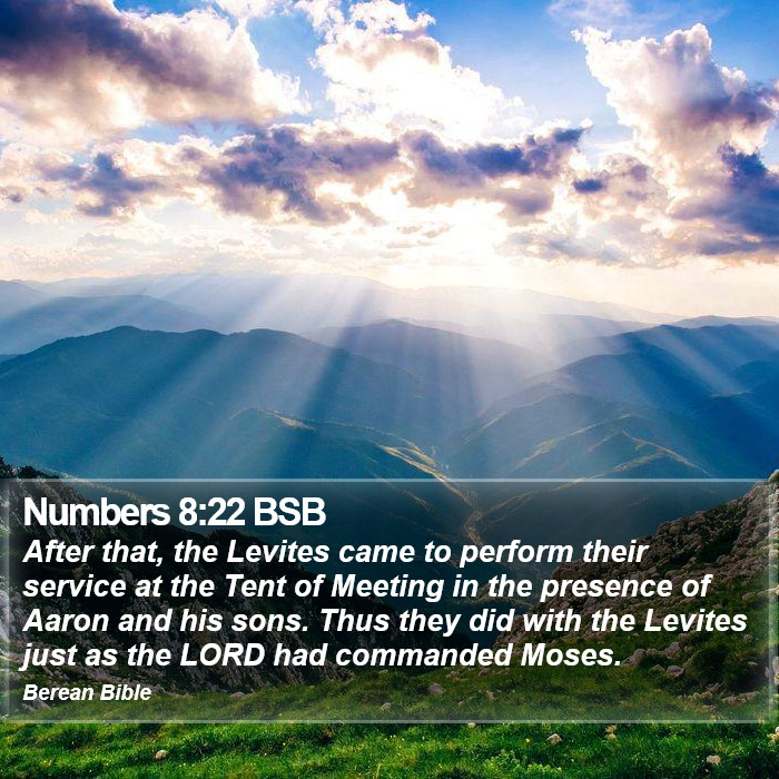 Numbers 8:22 BSB Bible Study