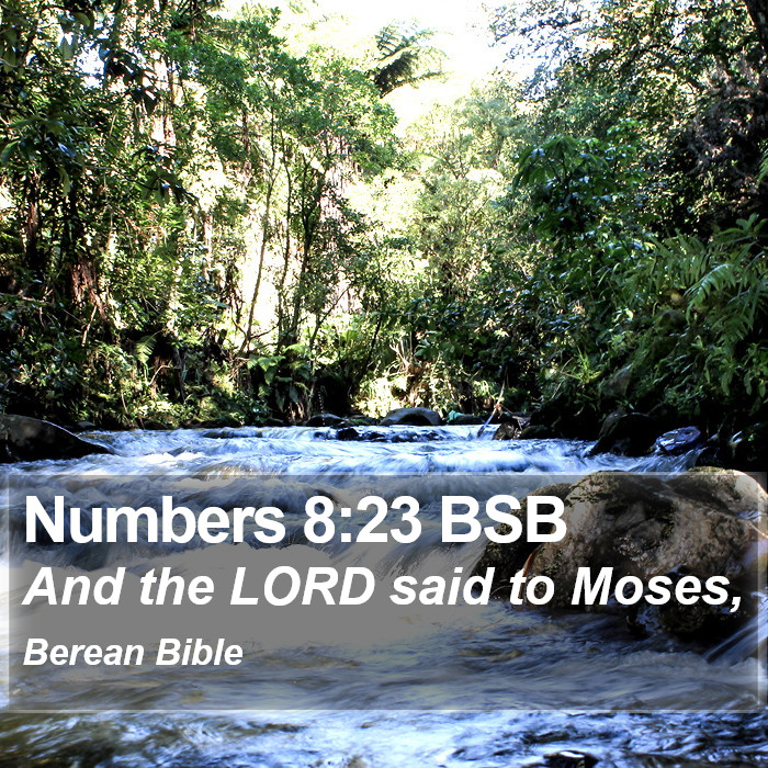 Numbers 8:23 BSB Bible Study