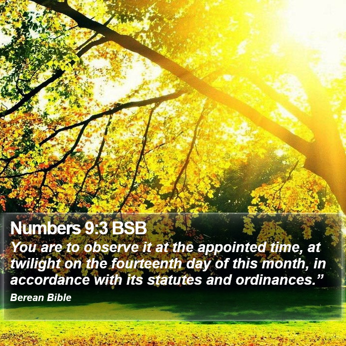 Numbers 9:3 BSB Bible Study