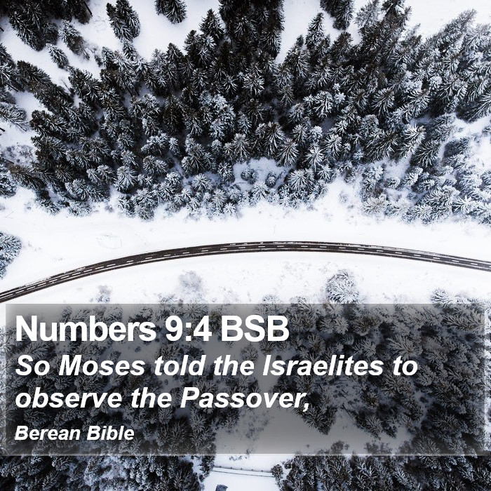 Numbers 9:4 BSB Bible Study