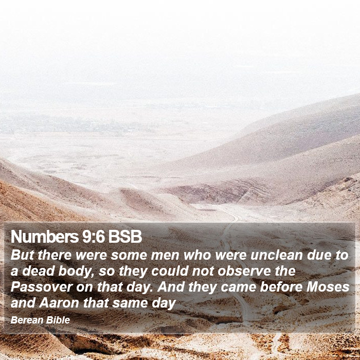 Numbers 9:6 BSB Bible Study