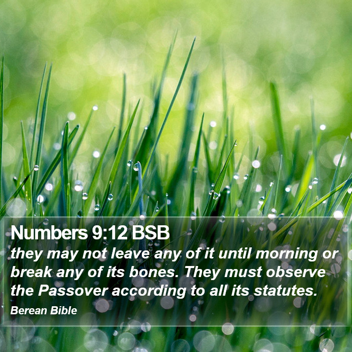 Numbers 9:12 BSB Bible Study