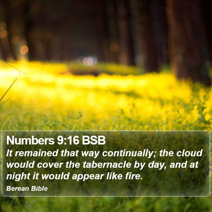 Numbers 9:16 BSB Bible Study