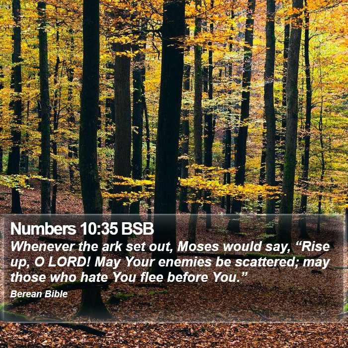 Numbers 10:35 BSB Bible Study