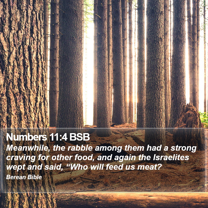 Numbers 11:4 BSB Bible Study