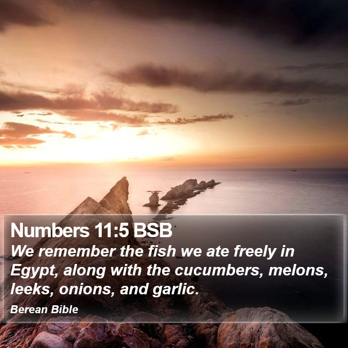 Numbers 11:5 BSB Bible Study