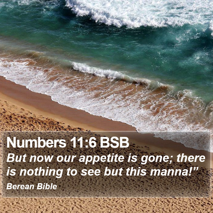 Numbers 11:6 BSB Bible Study