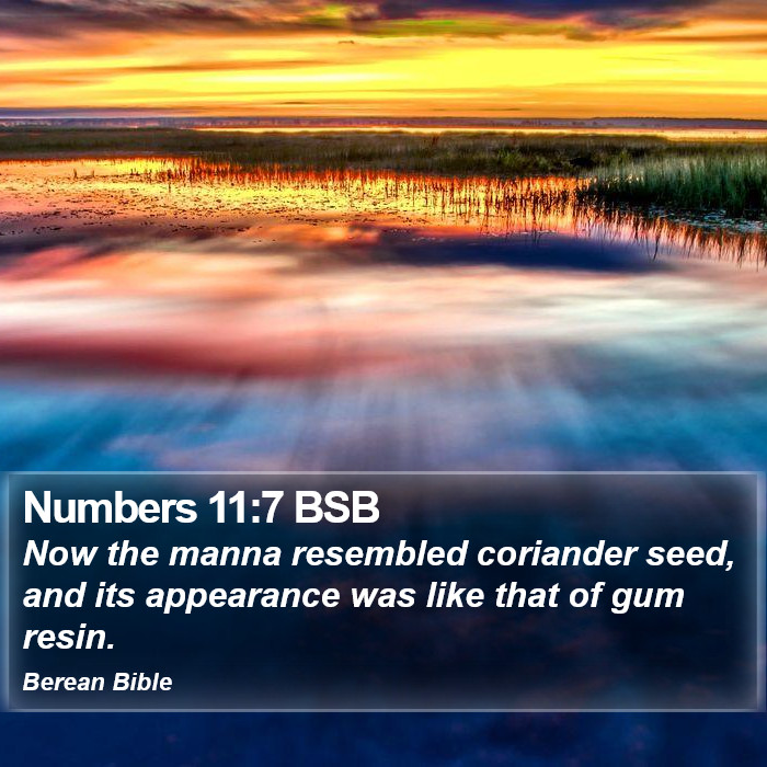 Numbers 11:7 BSB Bible Study