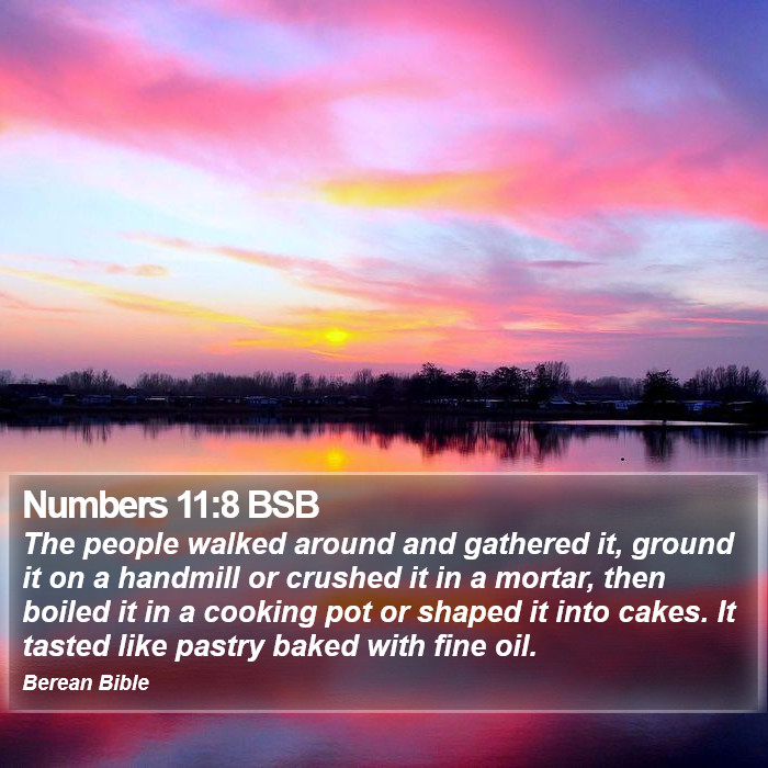 Numbers 11:8 BSB Bible Study