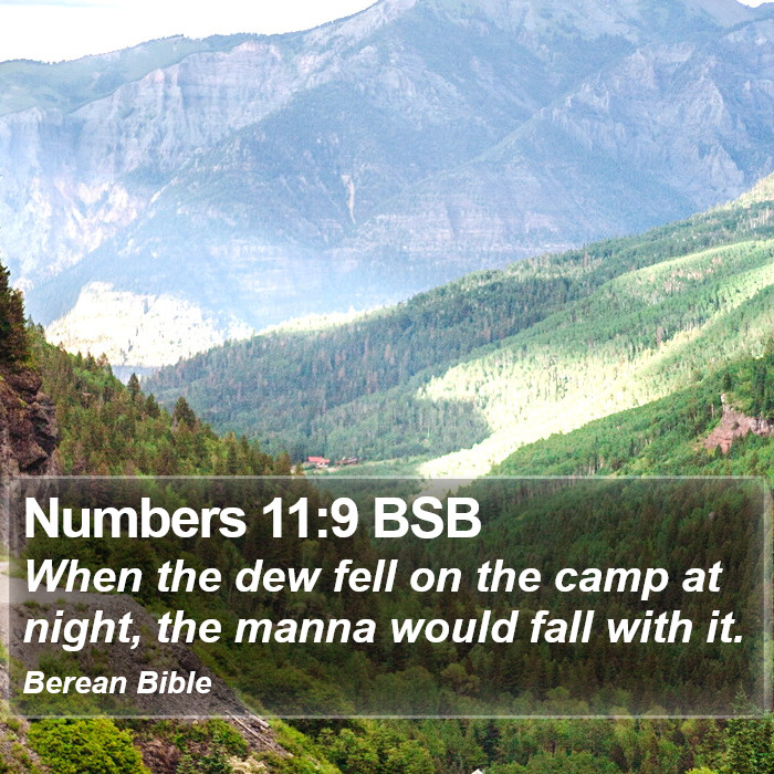 Numbers 11:9 BSB Bible Study