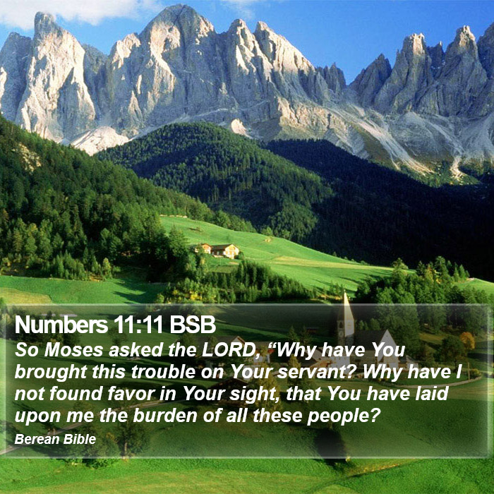 Numbers 11:11 BSB Bible Study