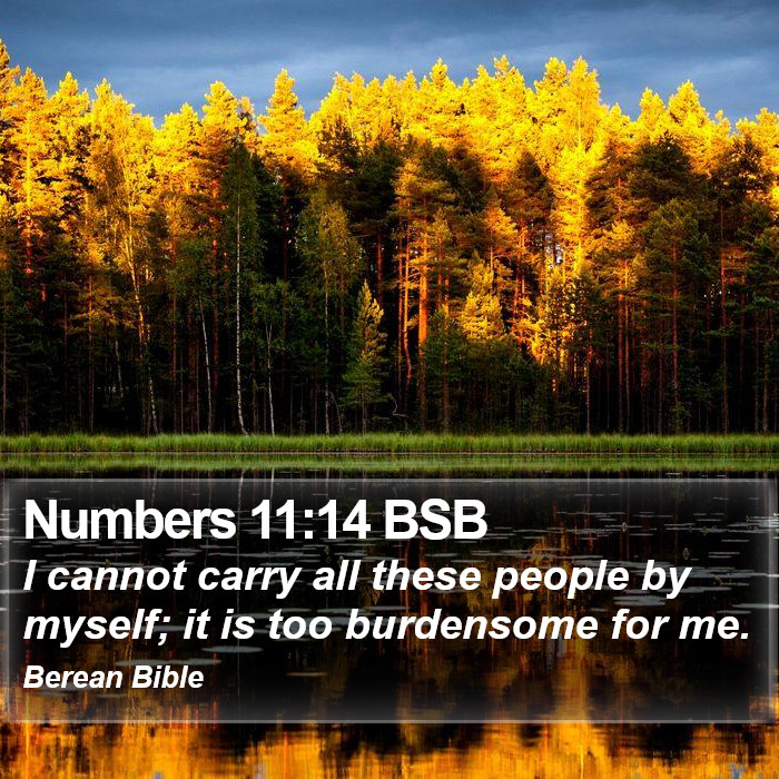 Numbers 11:14 BSB Bible Study