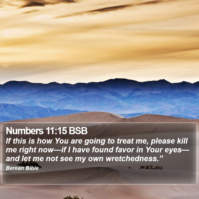 Numbers 11:15 BSB Bible Study