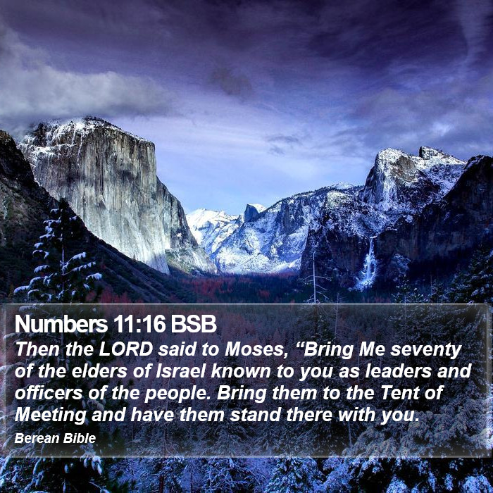 Numbers 11:16 BSB Bible Study