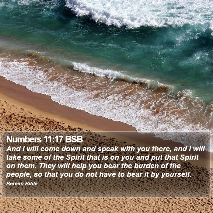 Numbers 11:17 BSB Bible Study