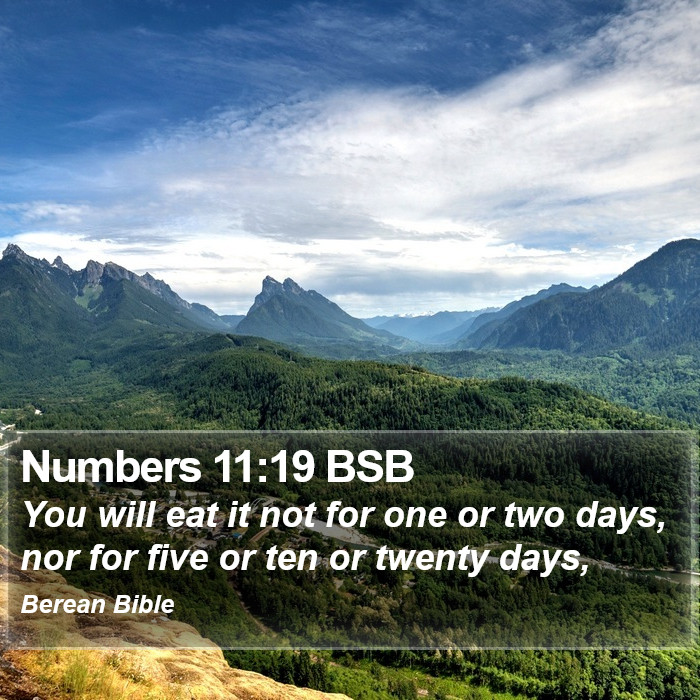 Numbers 11:19 BSB Bible Study