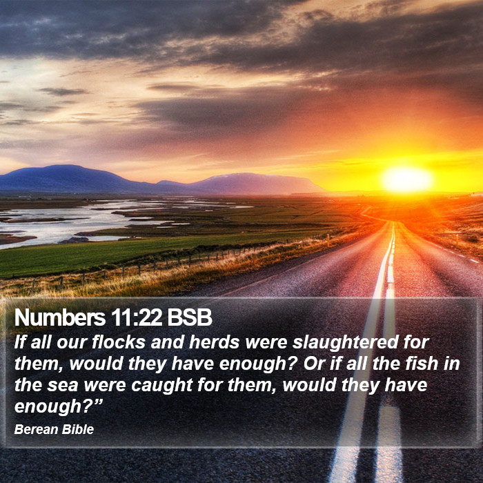 Numbers 11:22 BSB Bible Study