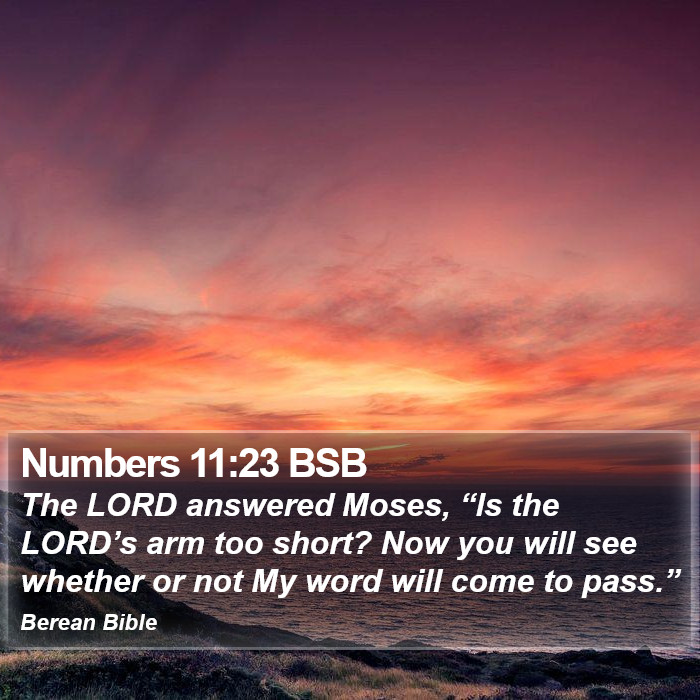 Numbers 11:23 BSB Bible Study