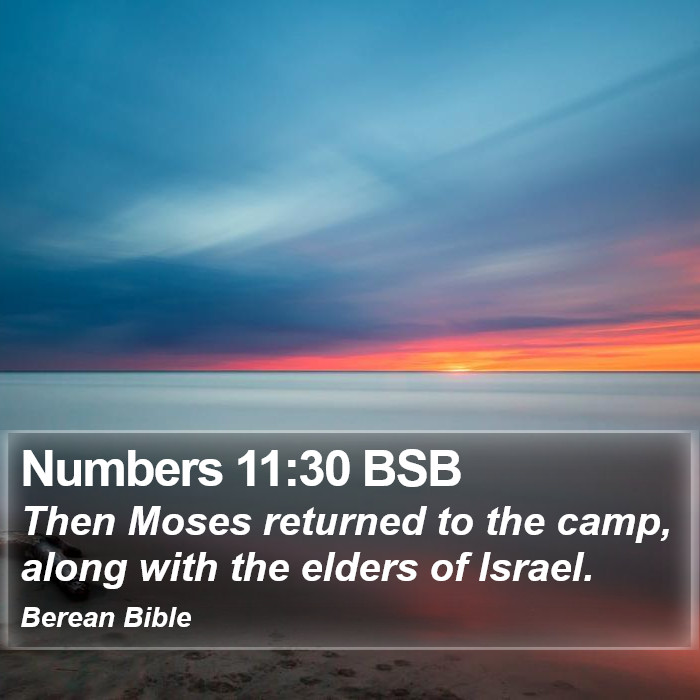 Numbers 11:30 BSB Bible Study