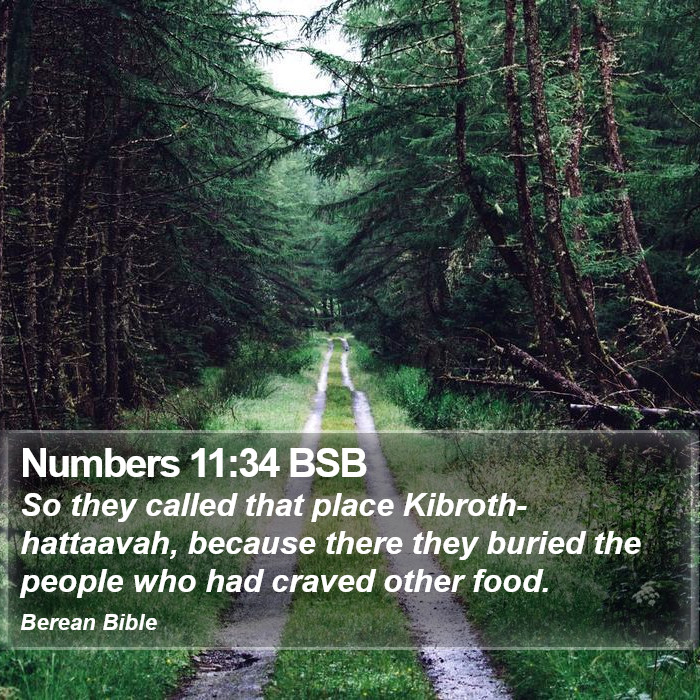 Numbers 11:34 BSB Bible Study