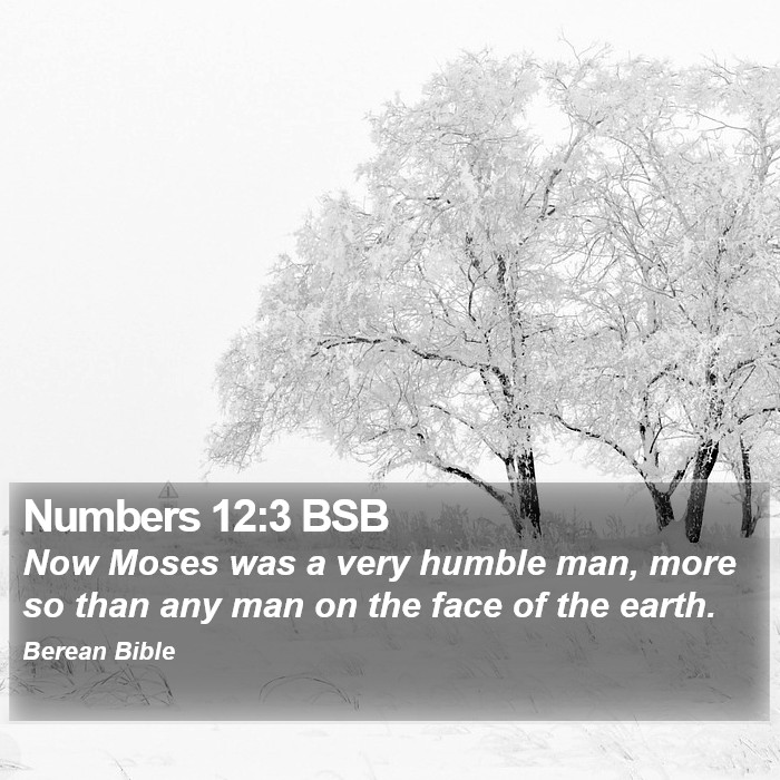 Numbers 12:3 BSB Bible Study