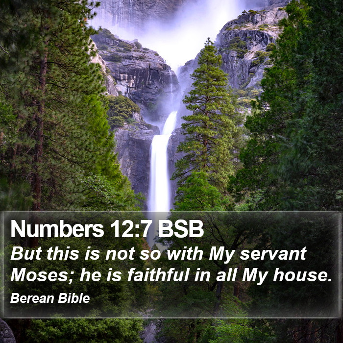 Numbers 12:7 BSB Bible Study