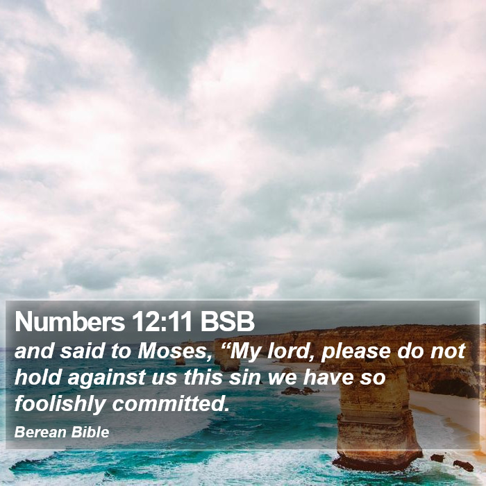 Numbers 12:11 BSB Bible Study