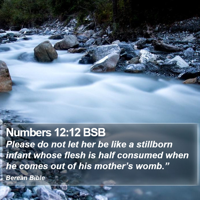 Numbers 12:12 BSB Bible Study