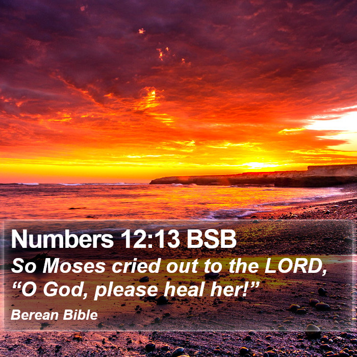 Numbers 12:13 BSB Bible Study