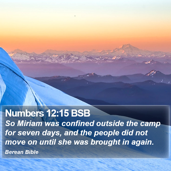 Numbers 12:15 BSB Bible Study