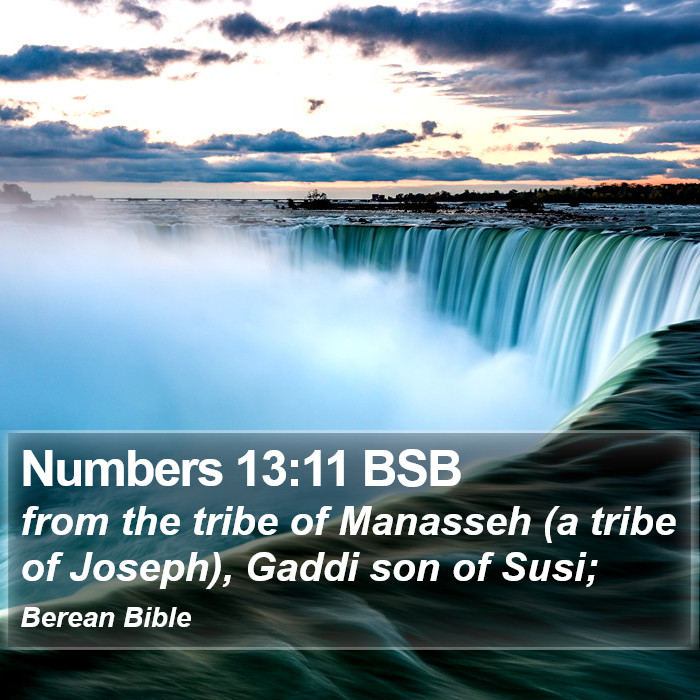 Numbers 13:11 BSB Bible Study