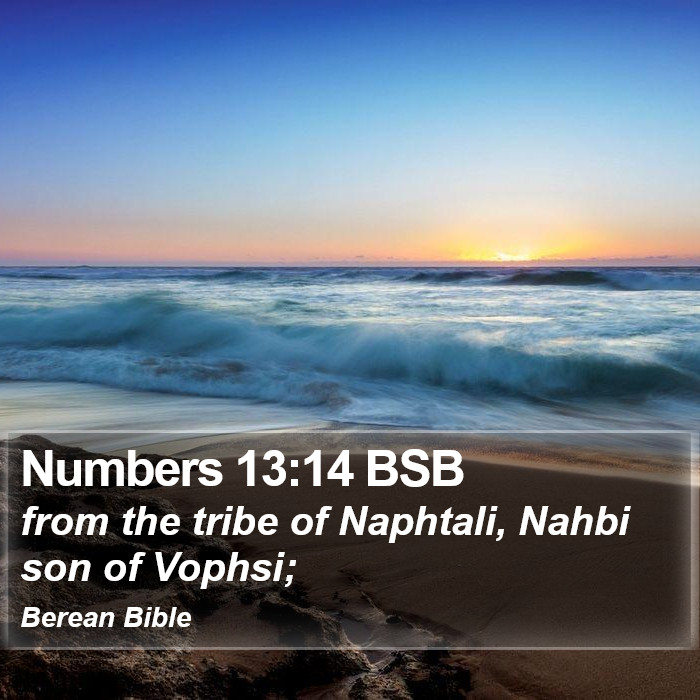 Numbers 13:14 BSB Bible Study