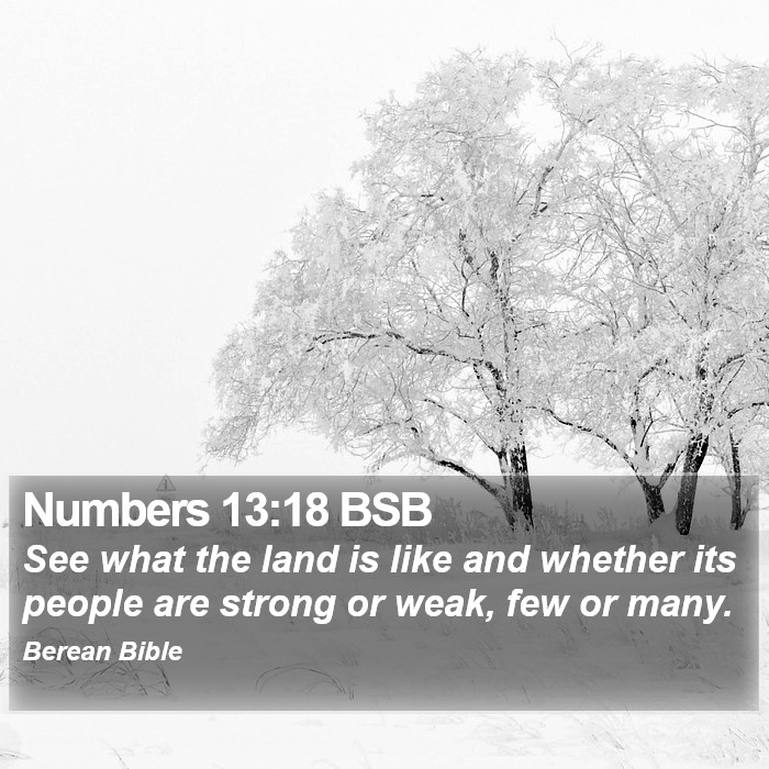 Numbers 13:18 BSB Bible Study