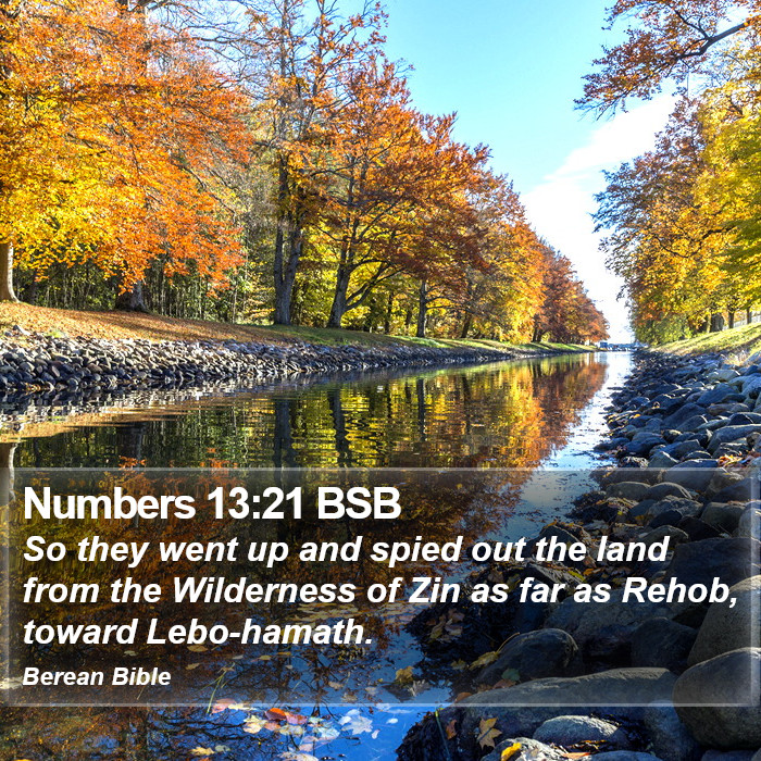 Numbers 13:21 BSB Bible Study